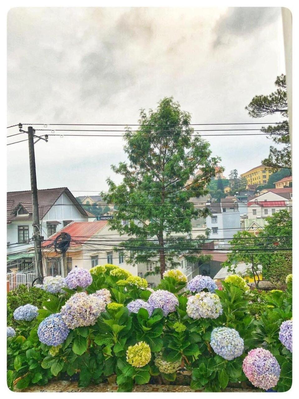 Willa Biet Thu Trang Da Lat Zewnętrze zdjęcie